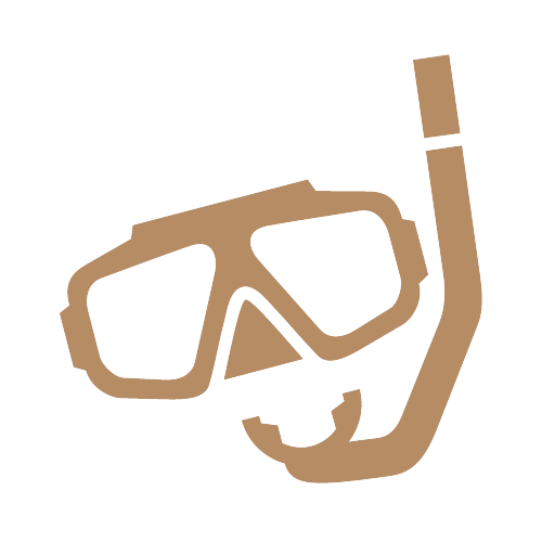 Snorkeling Icon